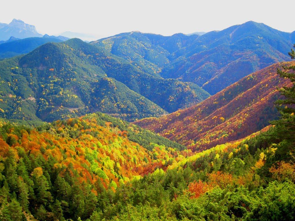 Pinarillos Сарвисе Экстерьер фото
